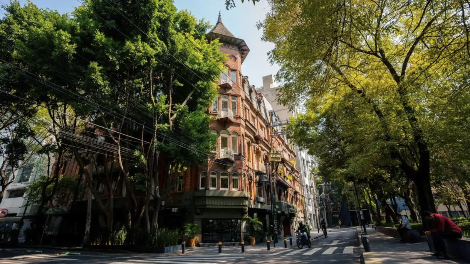 Roma – Condesa – Juárez