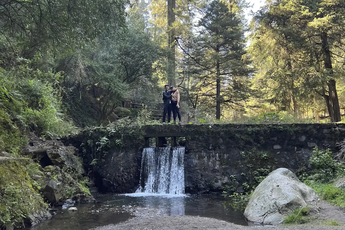 GYG-884984-Hiking-Desierto-de-los-Leones