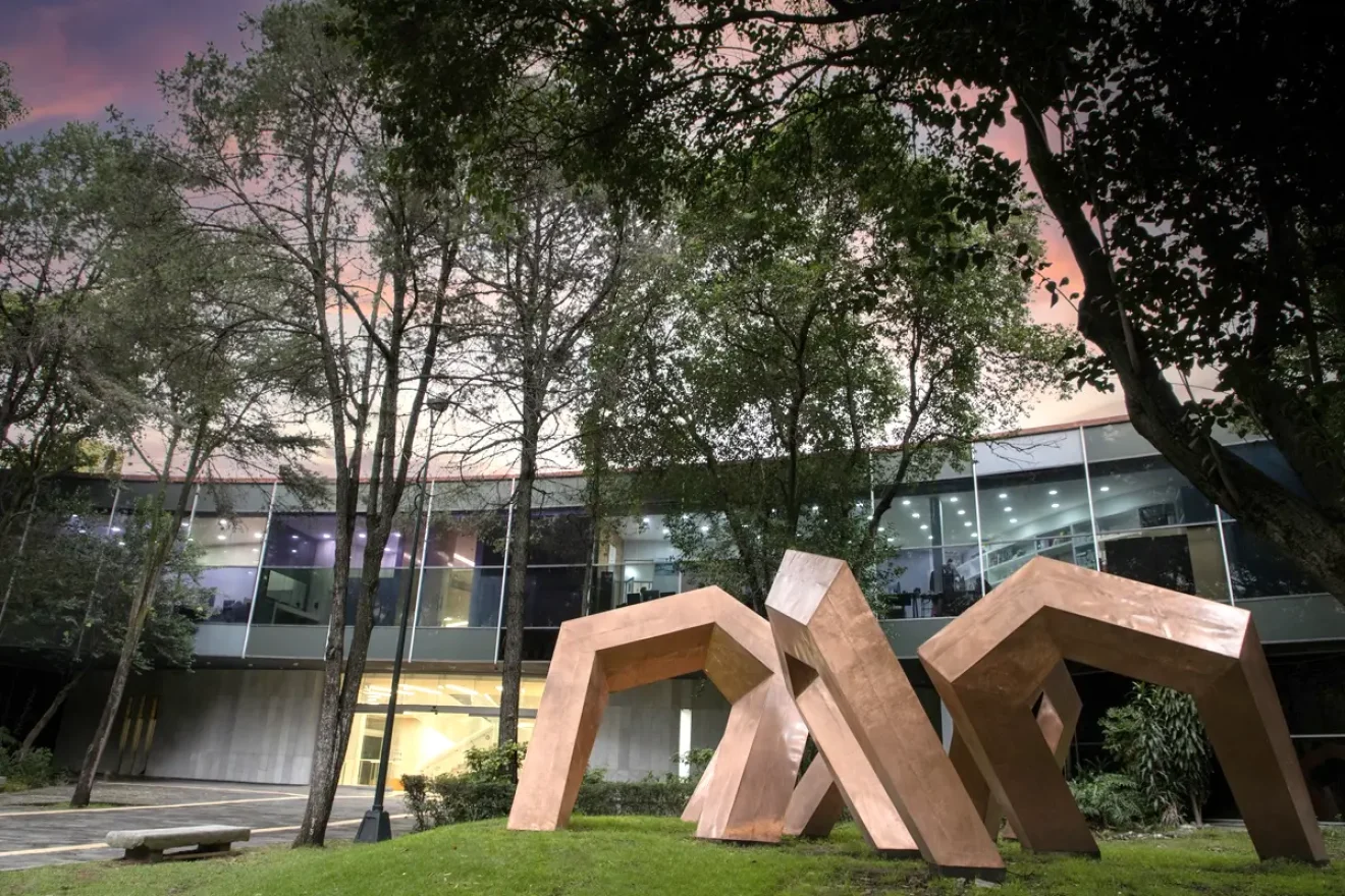 museo-de-arte-moderno-mam